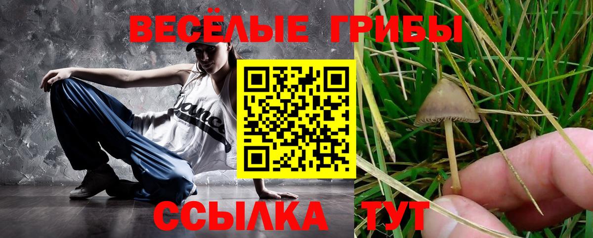 Псилоцибиновые грибы Cubensis Нижний Тагил