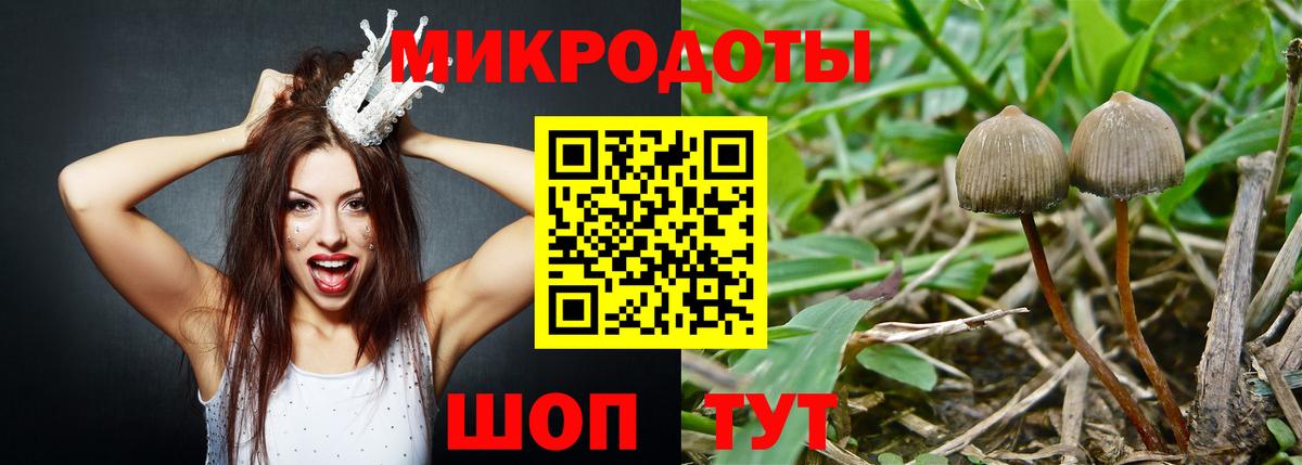 Нижний Тагил  закладка  Вход с VPN  Галлюциногенные грибы GOLDEN TEACHER 